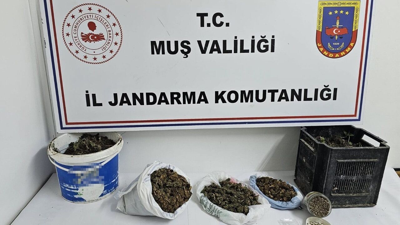 Muş'ta Uyuşturucu Operasyonu: 1.35 kg Esrar Ele Geçirildi