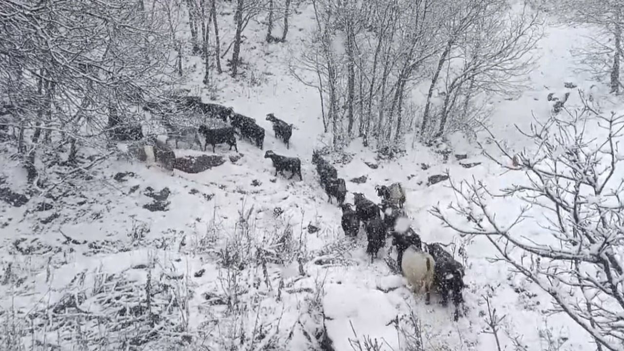 Muş'un Yüksek Rakımlı Köylerinde Kar Yağışı Zorluklar Yarattı