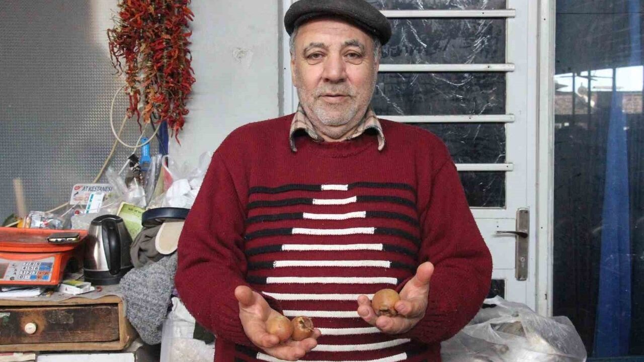 Muşmula: Doğal Çikolata ve Şifa Kaynağı