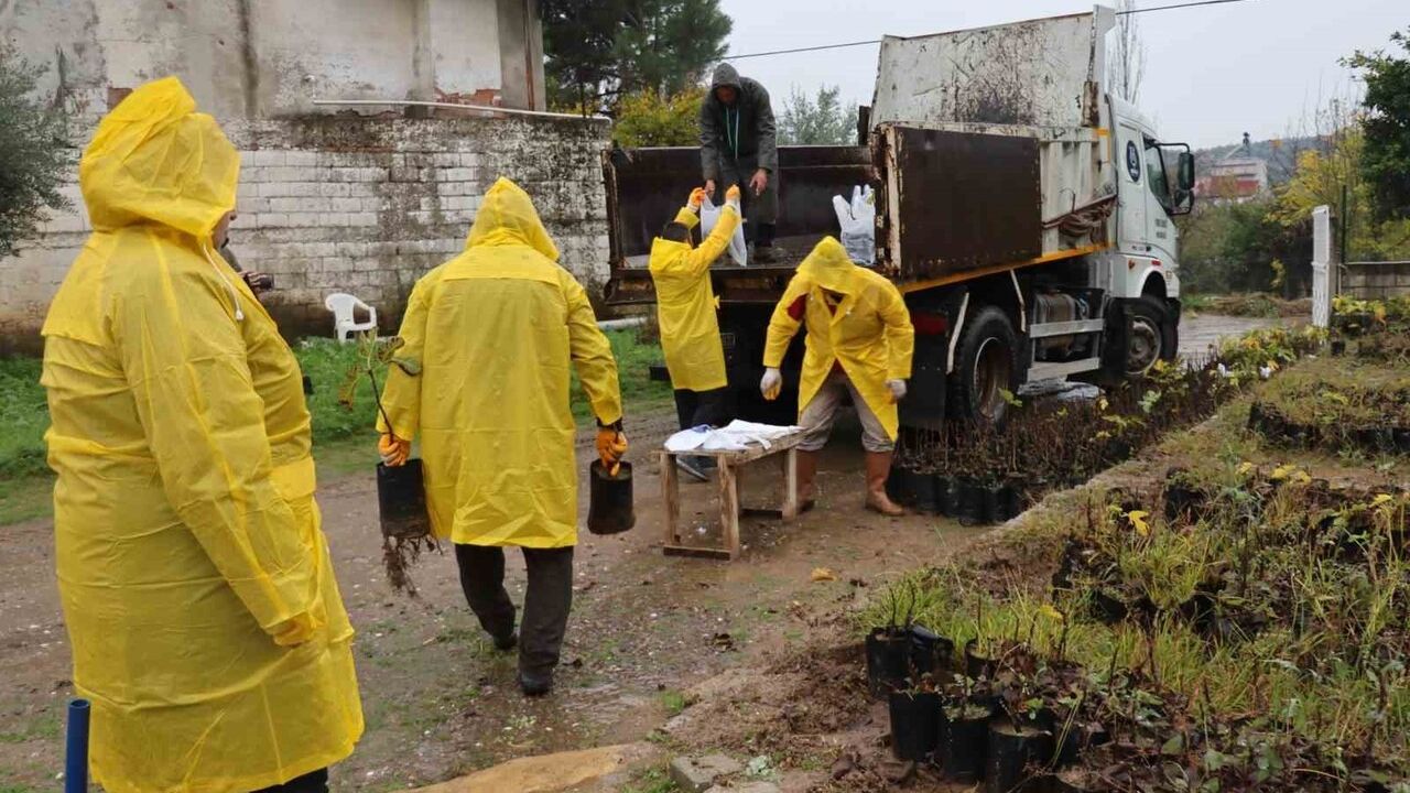 Nazilli Belediyesi'nden Işıklar Mahallesi'ne Ağaç Fidanı Dağıtımı