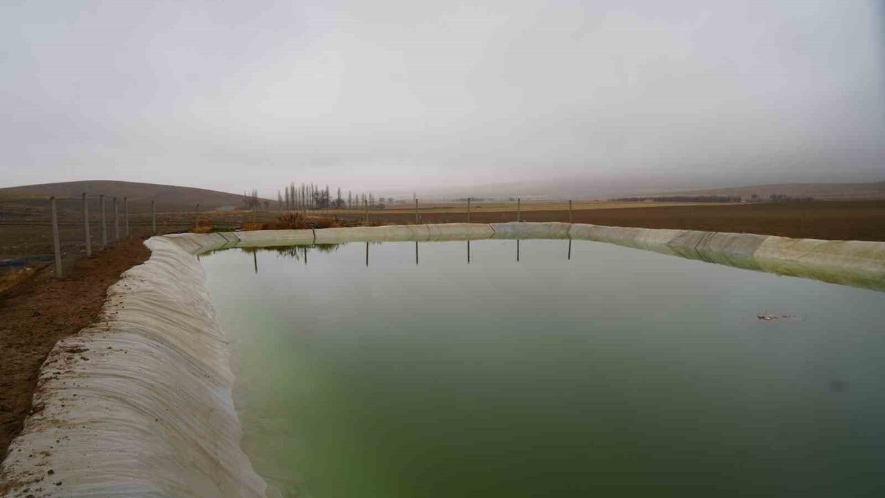 Niğde'de Sulama Havuzunda Tuhaf Ölüm