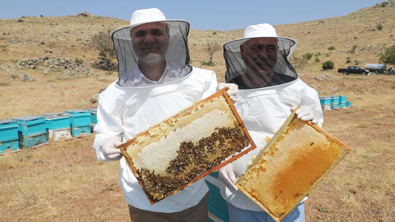 Niğde Geven Balı Coğrafi İşaretle Tescillendi