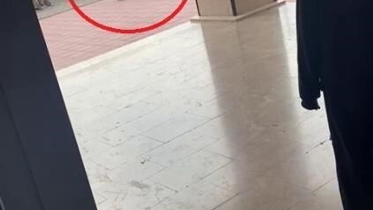 Okul Müdürü Öğrencisini Darp Etti: Aile Şikayetçi Oldu