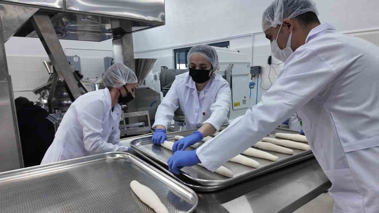 Ordu'da 5.8 Milyon Halk Ekmek Üretimi Gerçekleşti