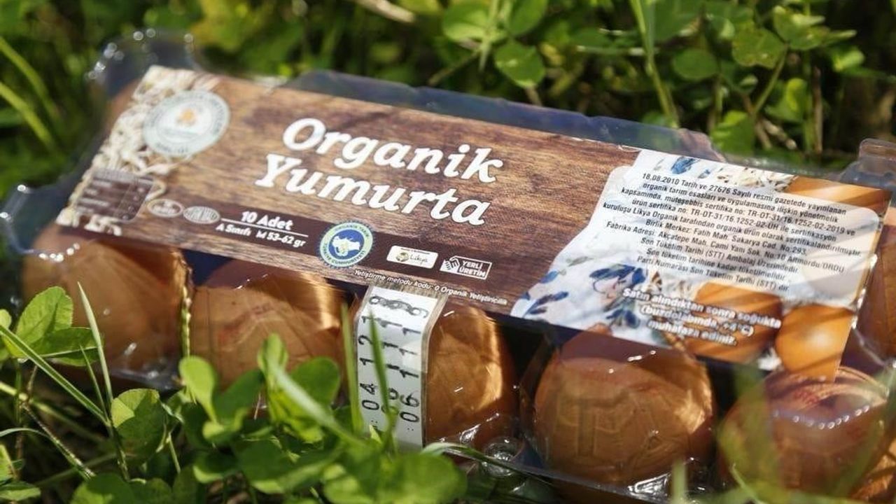 Ordu’da Yumurta Üretimi Desteklerle Güçleniyor