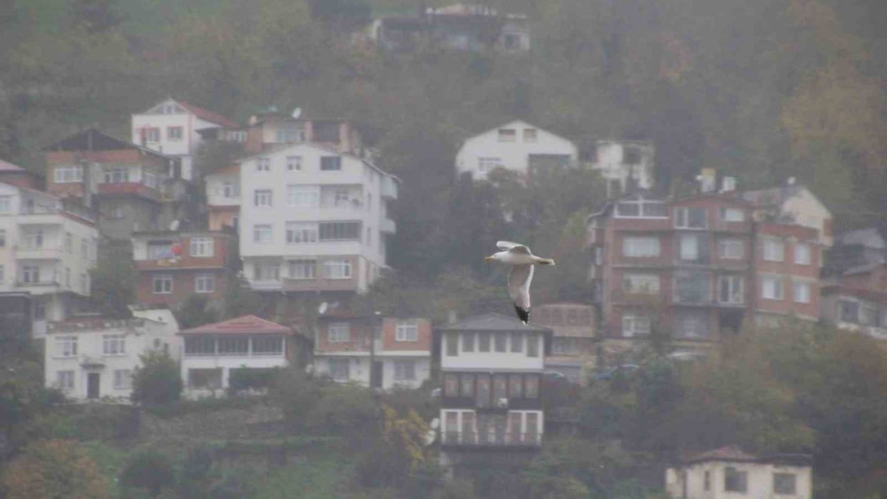 Ordu'daki Boztepe'de Sis Güzelliği