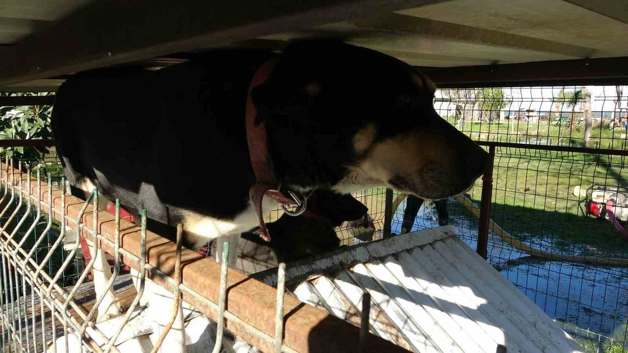 Ordu'daki Fırtına Hayatı Olumsuz Etkiledi