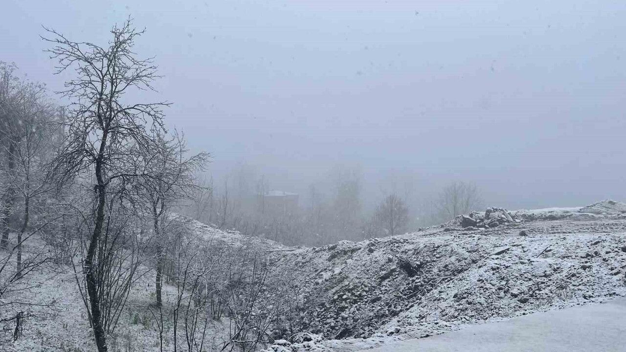 Ordu Yaylalarında Kış Manzarası: Kar Yağışı Etkisini Gösteriyor