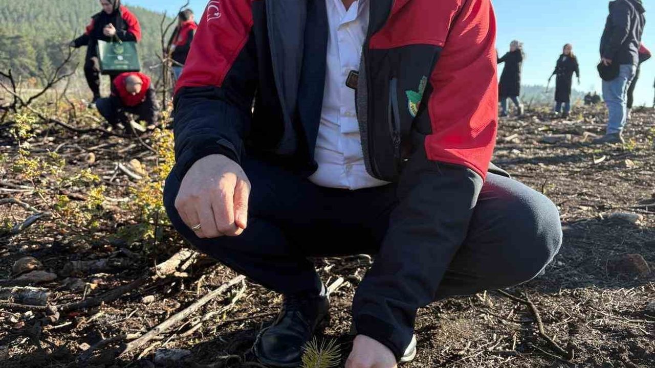 Orhaneli'de Fidan Dikim Etkinliği