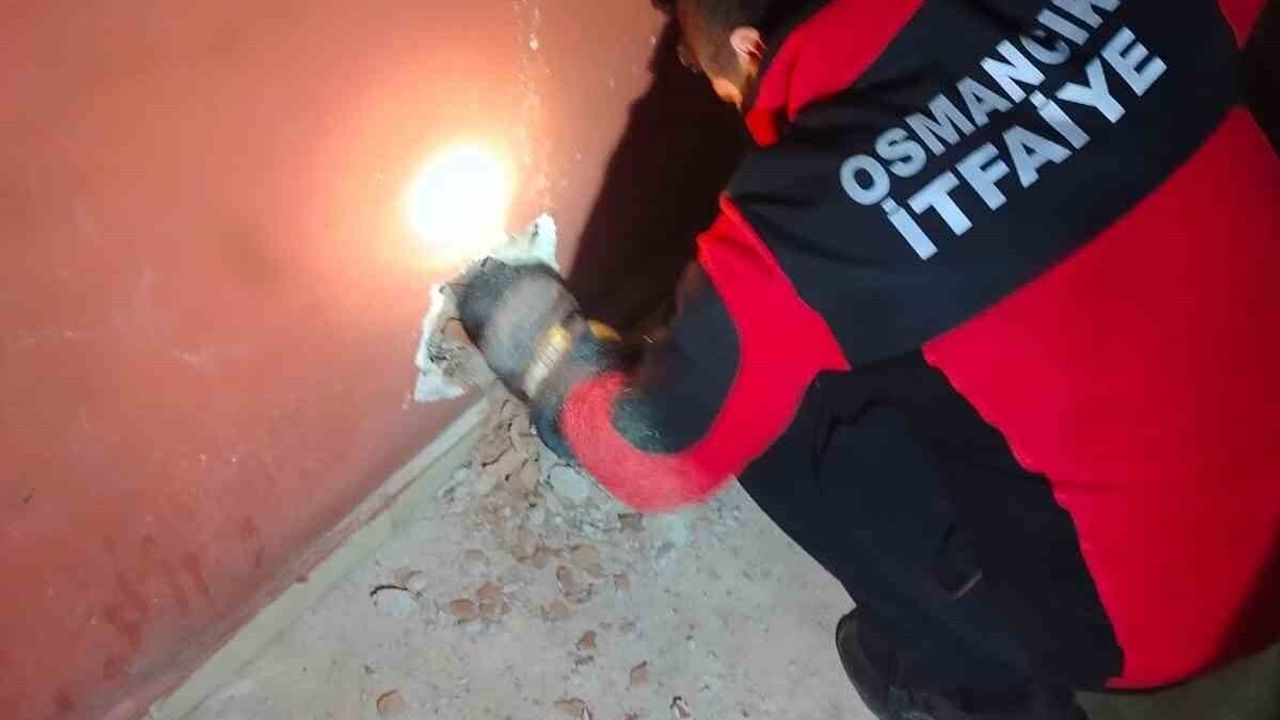 Osmancık'ta Havalandırma Boşluğuna Düşen Kedi Kurtarıldı