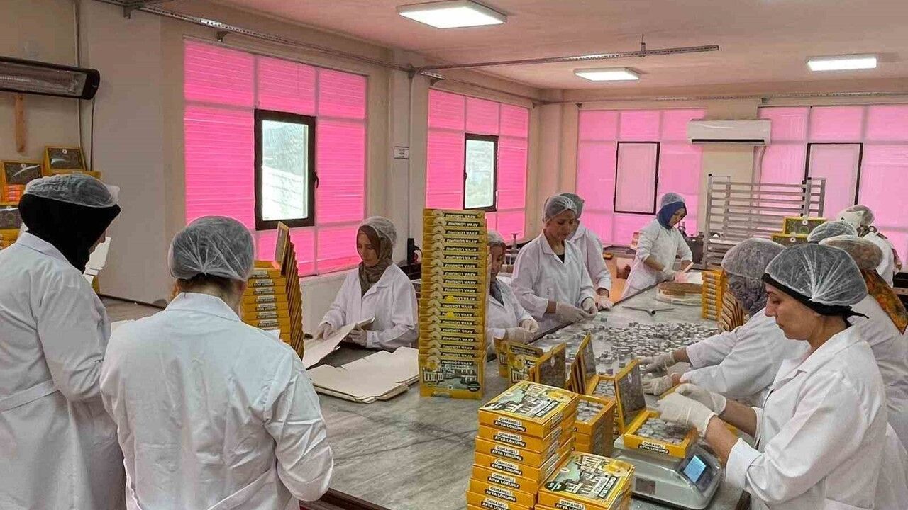 Osmaneli Ayva Lokumu Türkiye Pazarında