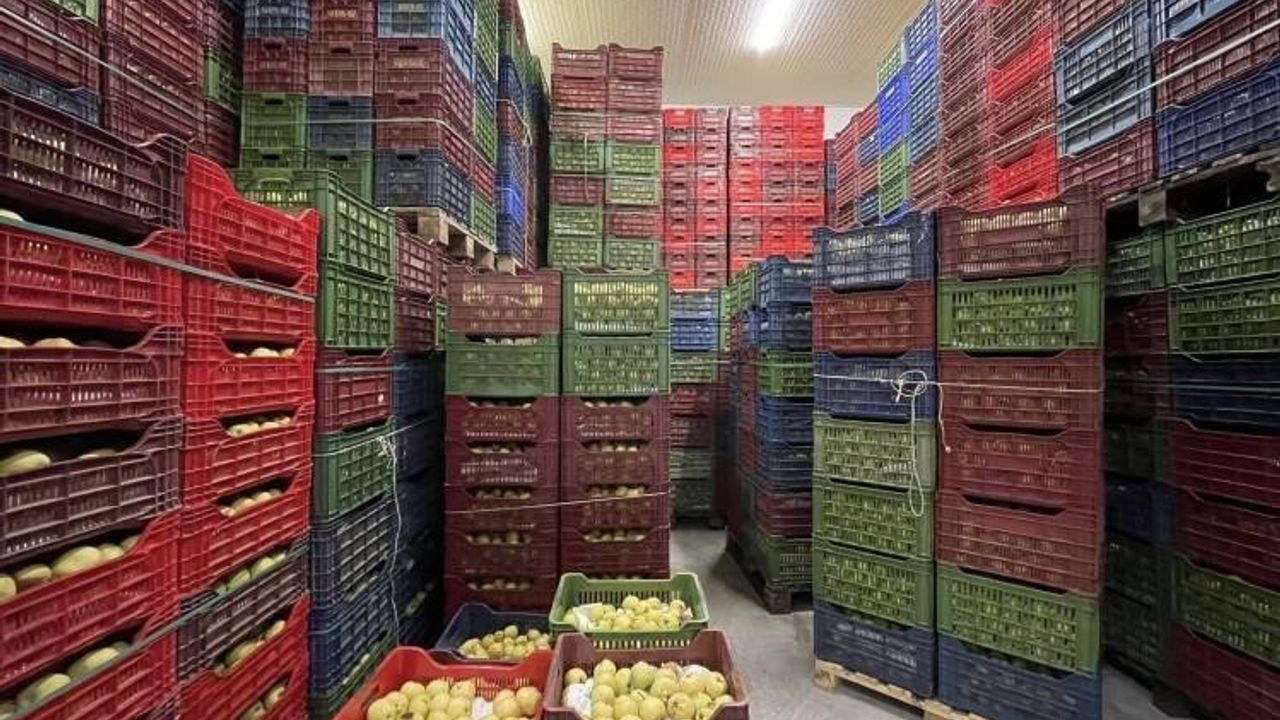 Osmaneli'nin Soğuk Hava Deposu Tam Kapasiteyle Hizmette