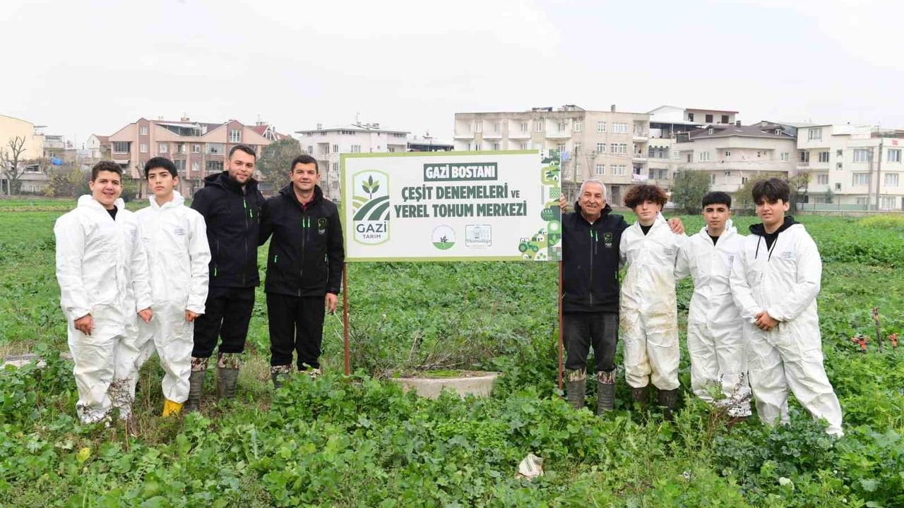Osmangazi'de Doğal Pırasa Hasadı ile Sofralara Lezzet Katılıyor