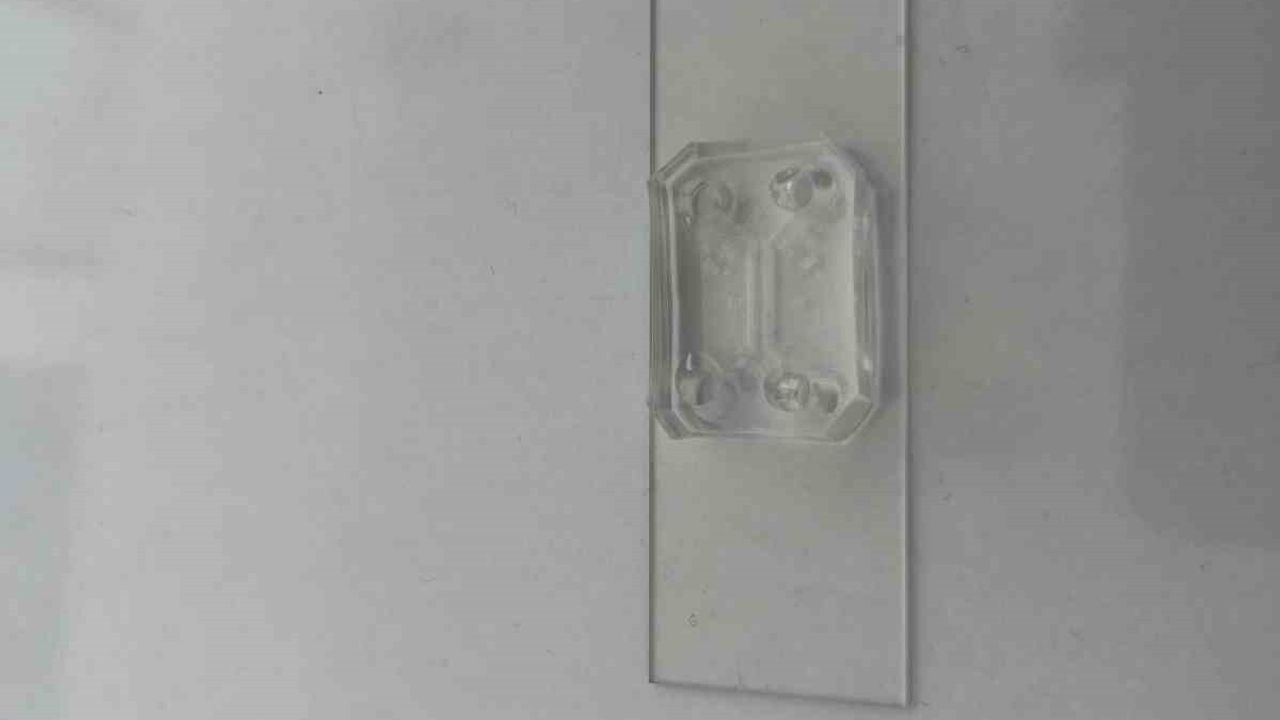 Parkinson Hastalığında Bağırsak-Beyin İletişimi Araştırılıyor