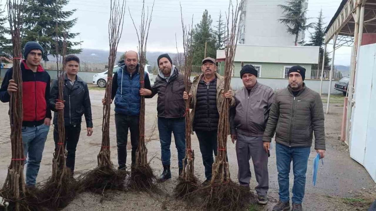Pazaryeri'nde Meyveciliği Geliştirme Projesi Başlatıldı