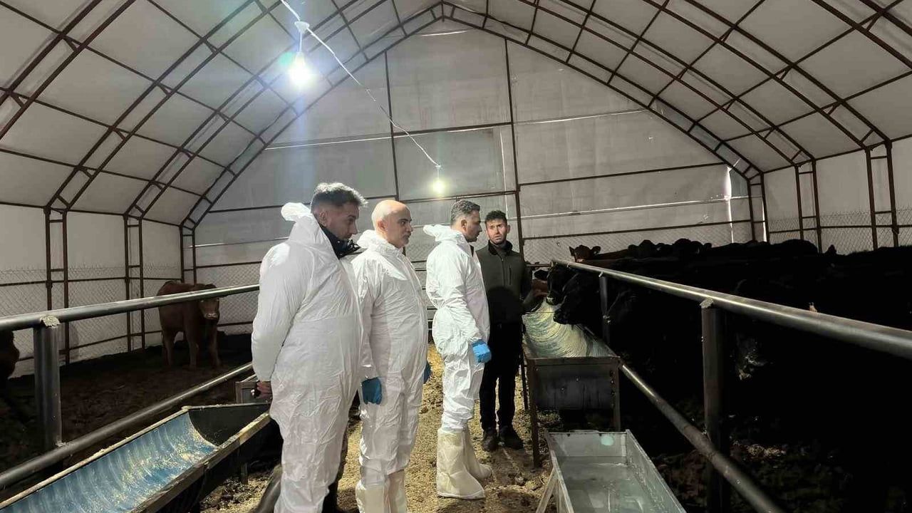 Pertek'te Genç Girişimciler İçin Hayvancılık Desteği