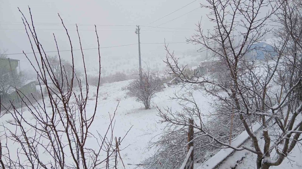 Posof'ta Kar Yağışı Hayatı Olumsuz Etkiliyor