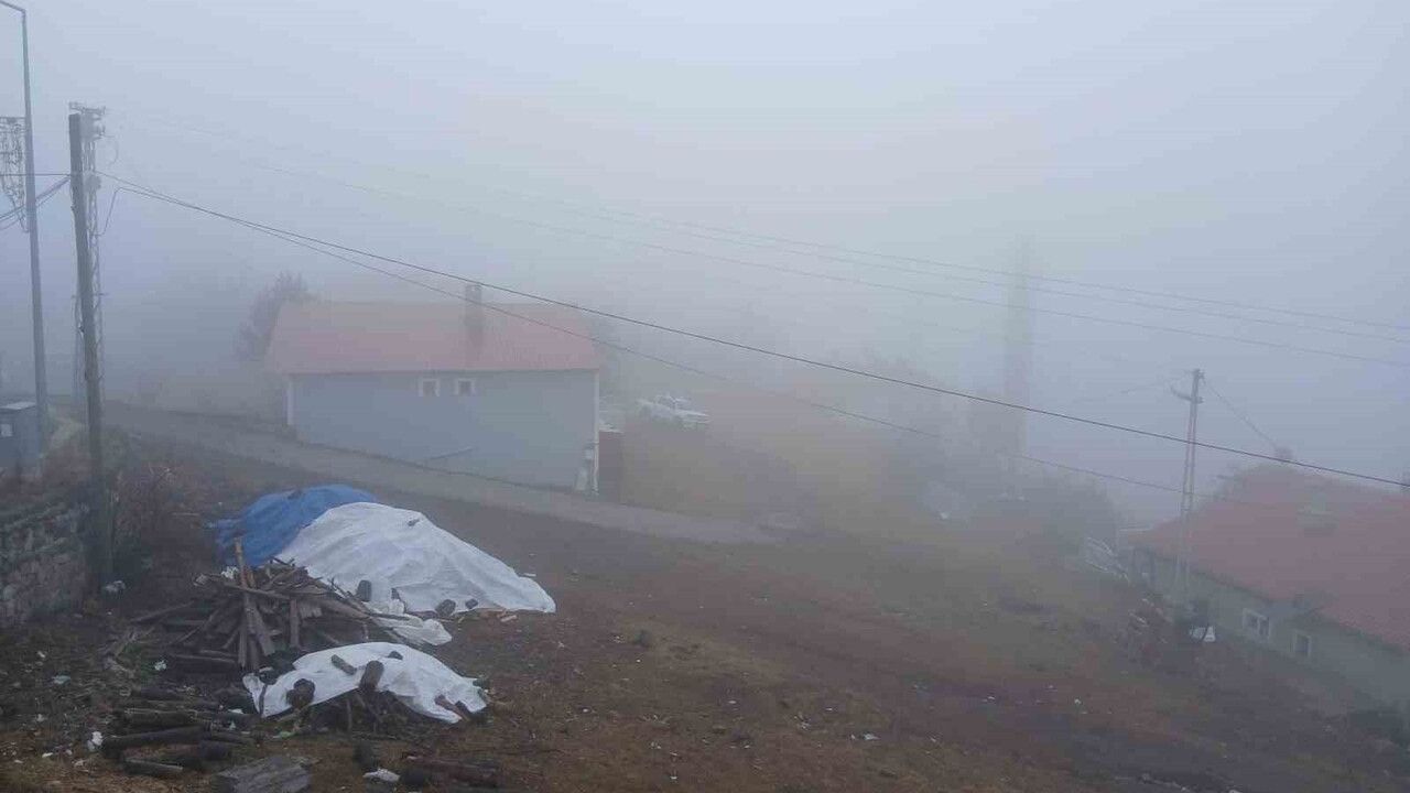 Posof'ta Yoğun Sis Hayatı Olumsuz Etkiliyor