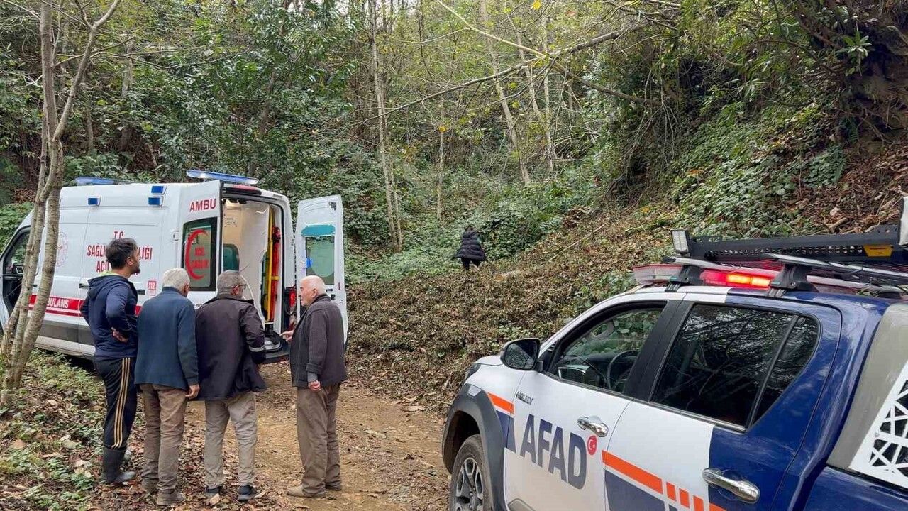 Rize'de Ağacın Çarpması Sonucu Uçuruma Yuvarlanan Vatandaş Hastaneye Kaldırıldı