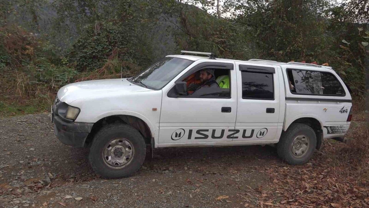 Rize'de Ayı Avı için Özel İzinler Verildi