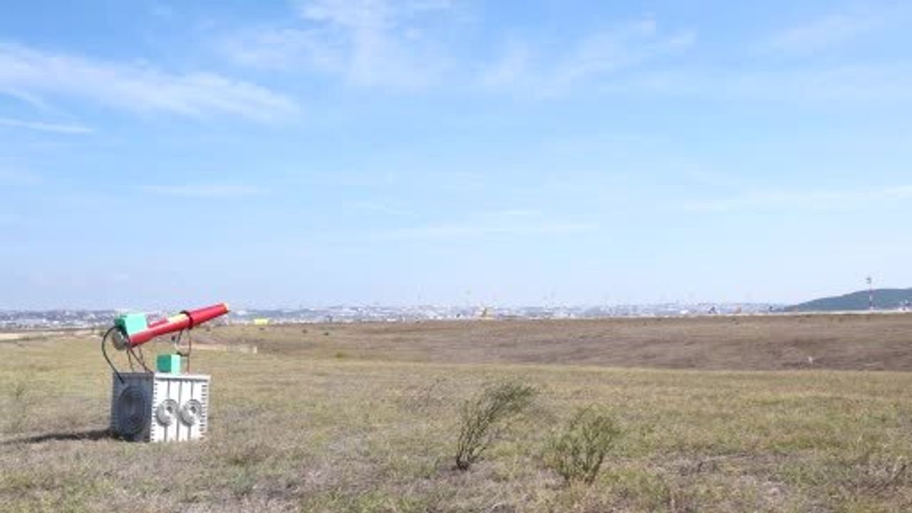 Sabiha Gökçen Havalimanı'nda Yaban Hayatla Mücadele