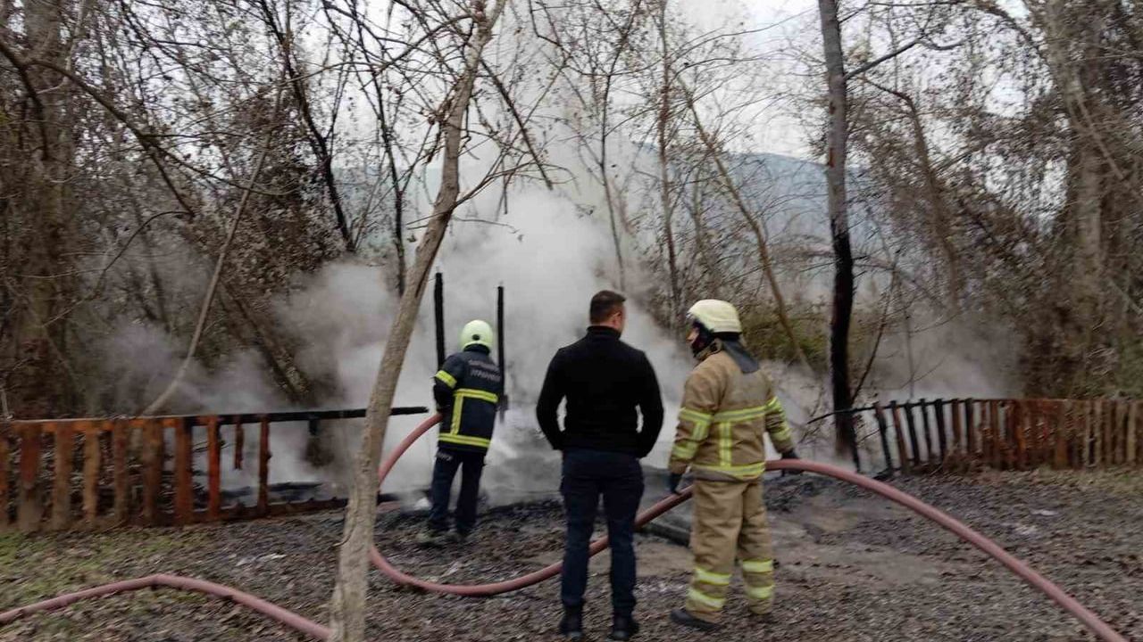Safranbolu'da Kamelya Yangını