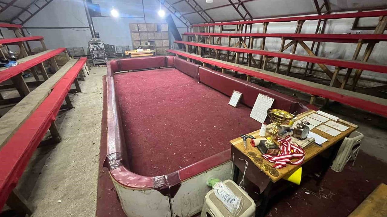 Sakarya'da Horoz Dövüşüne Operasyon: 34 Kişiye Ceza