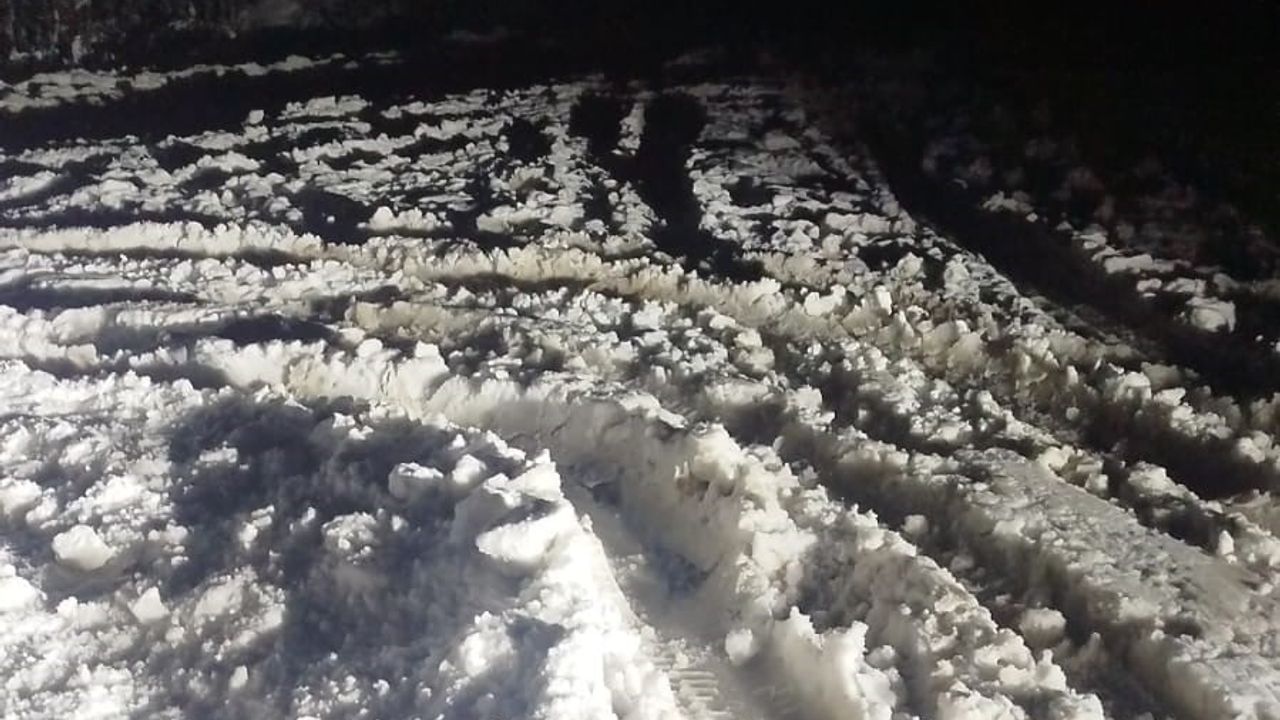 Sakarya'da Kar Yağışı: Kentte Kar Mesaisi ve Eğlenceler