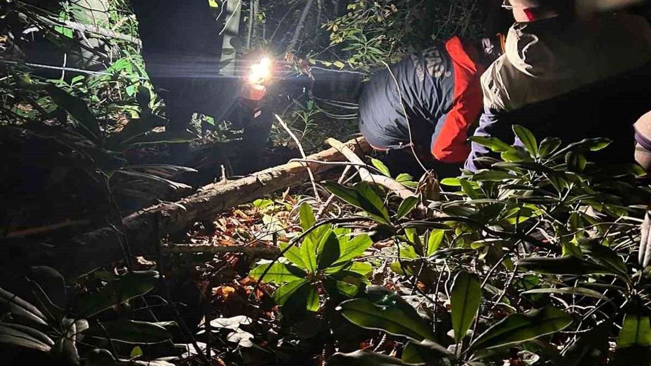 Sakarya'da Orman İşçisinden Kurtarma Operasyonu