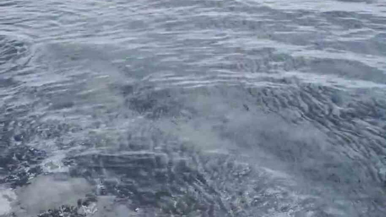 Salda Gölü’ndeki Su Kayıpları: Kuraklık ve Kötü Yönetim Etkisi