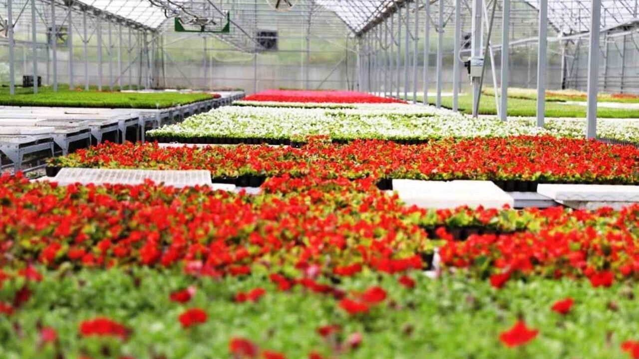 Samsun Büyükşehir Belediyesi Yenilenebilir Enerji ile Tasarruf Sağlıyor