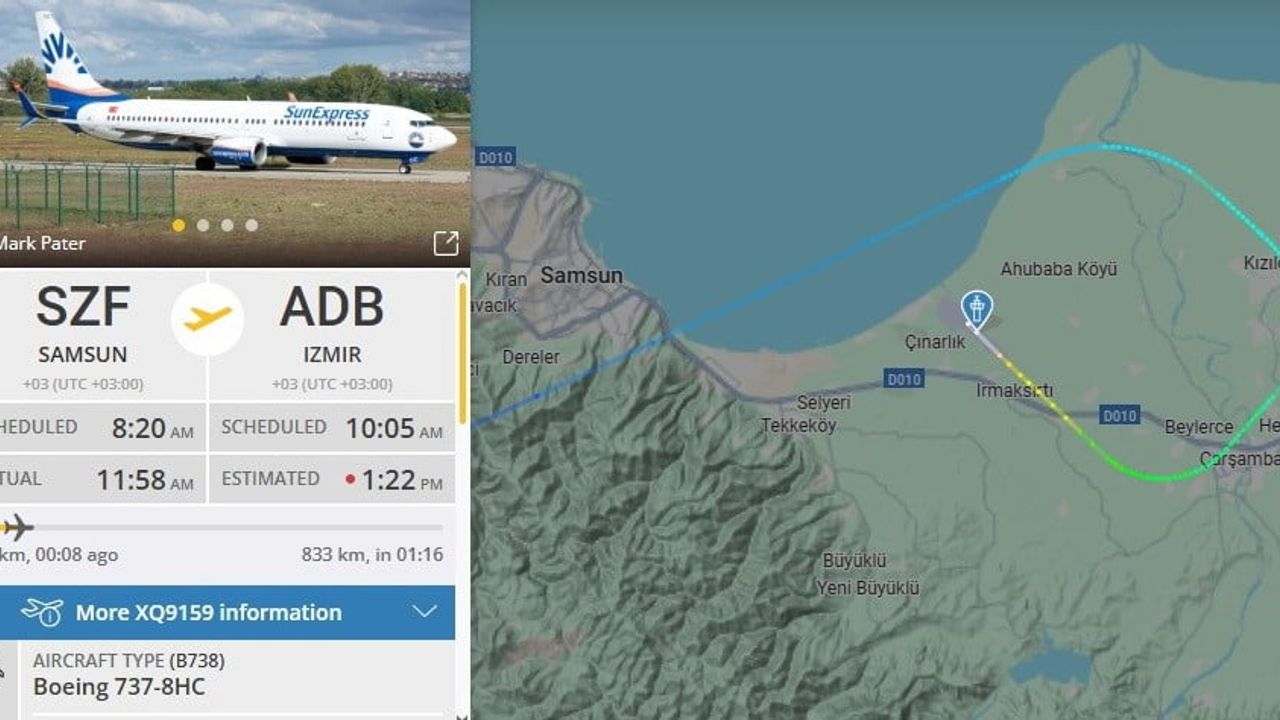 Samsun'da Uçak Martı Sürüsüne Çarptı, Kontrollerin Ardından Havalandı