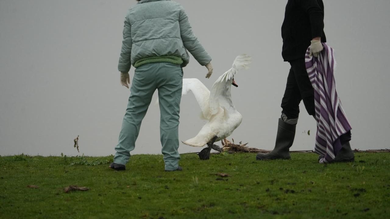 Samsun'da Yaban Hayata Şefkat Eli: İlk Yardım Ünitesi