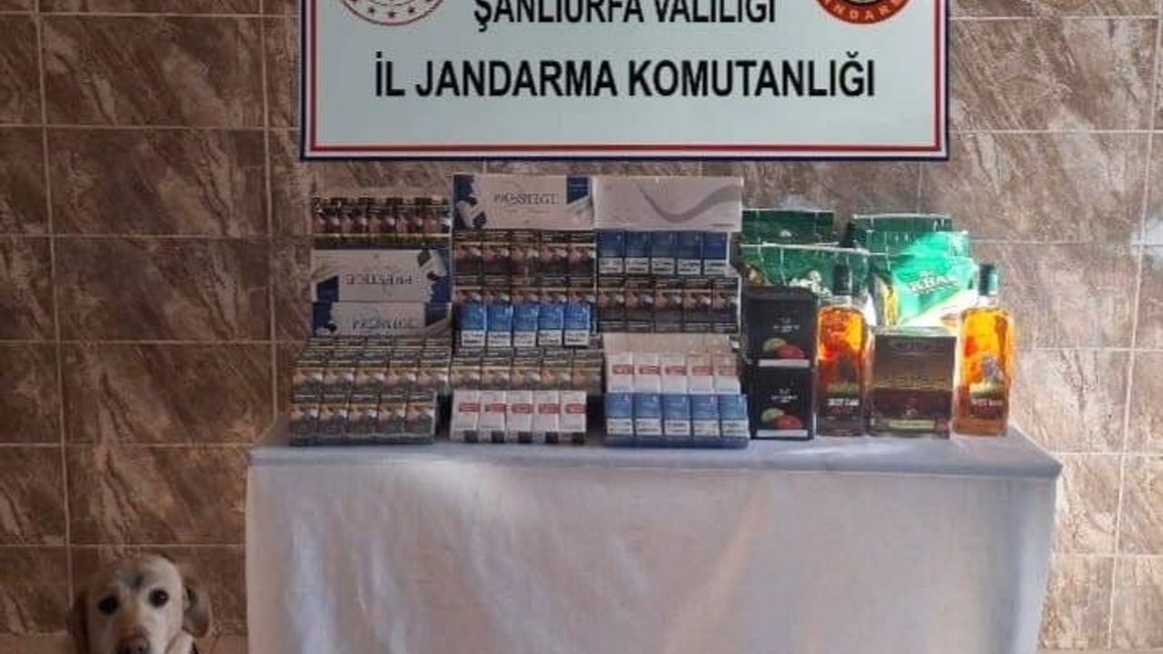 Şanlıurfa'da Kaçak Sigara Operasyonu