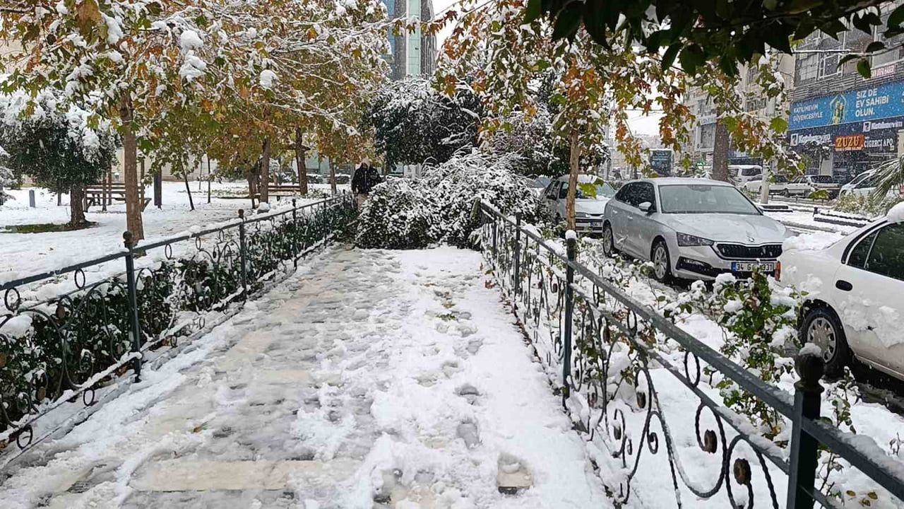 Şanlıurfa'da Kar Yağışı Ağaç Devrilmesine Neden Oldu