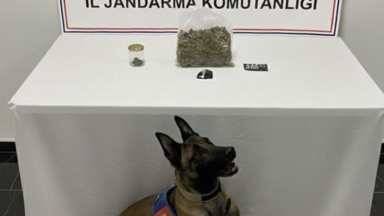 Şanlıurfa'da Uyuşturucu Operasyonu: 1 Gözaltı