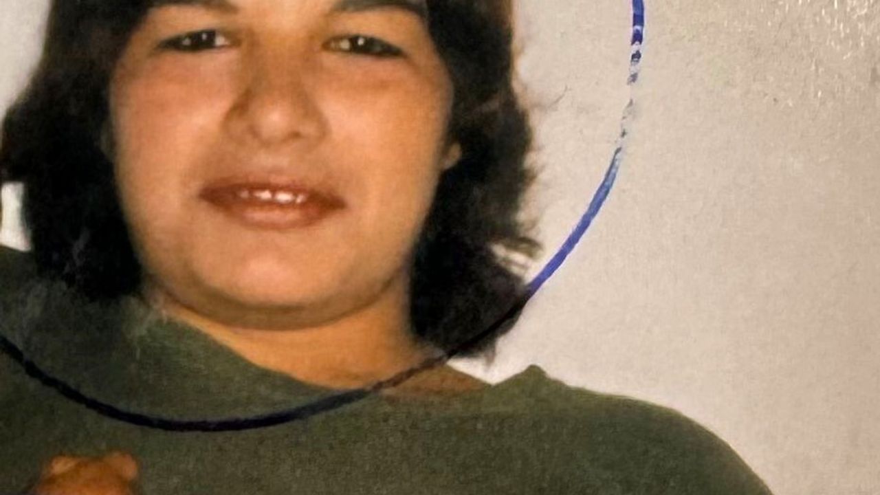 Sarıyer'deki Domuz Bağı Cinayeti 19 Yıl Sonra Aydınlatıldı