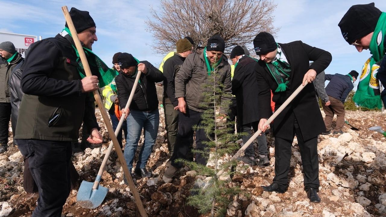 Şehidin Adı Sedir Ormanı ile Yaşatılıyor