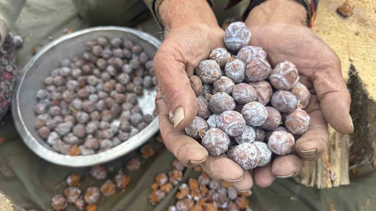 Şifa Değeri Taşıyan Andız Pekmezi