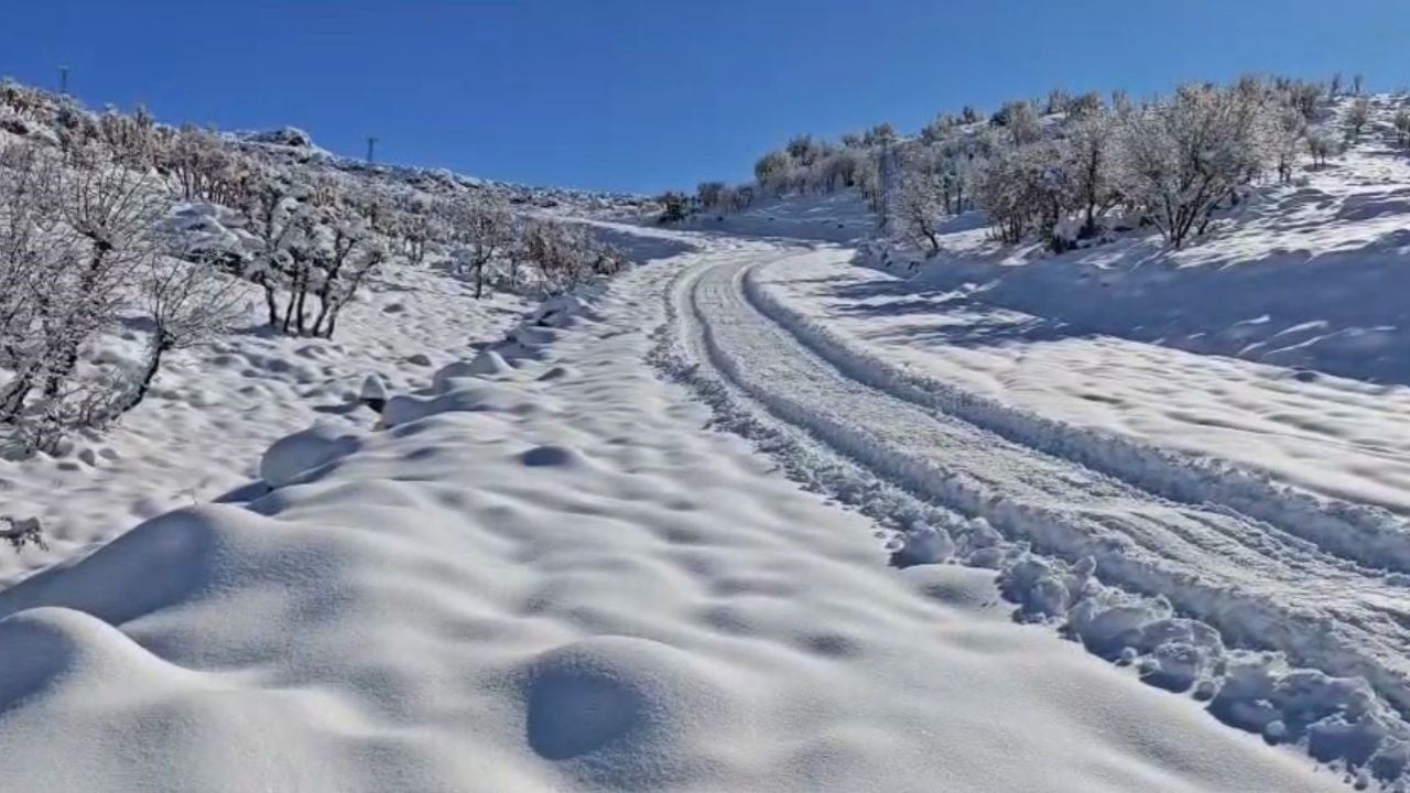 Siirt'te Kar Yağışı Nedeniyle Okullar Yarım Gün Tatil Edildi