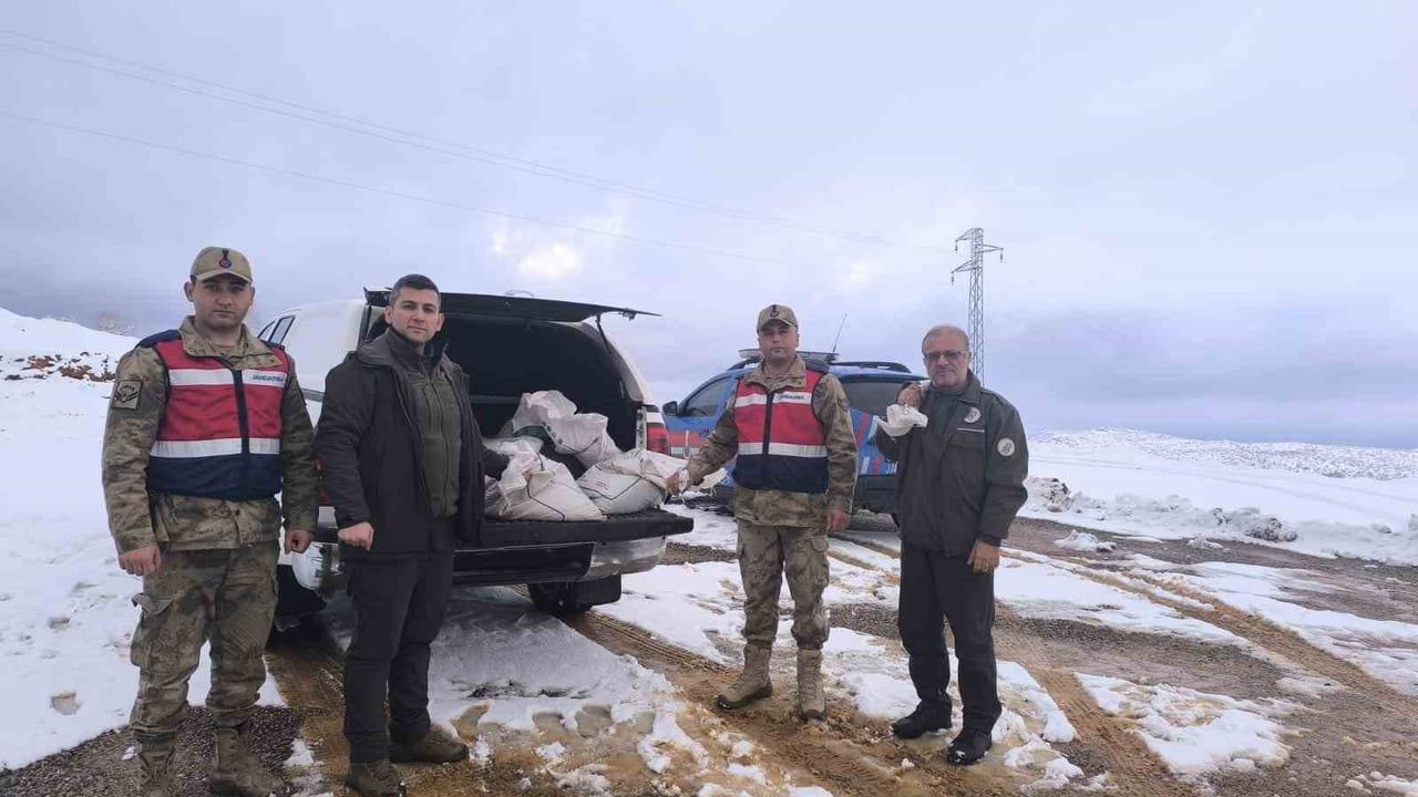 Siirt'te Yaban Hayvanları İçin 750 Kilo Yem Bırakıldı