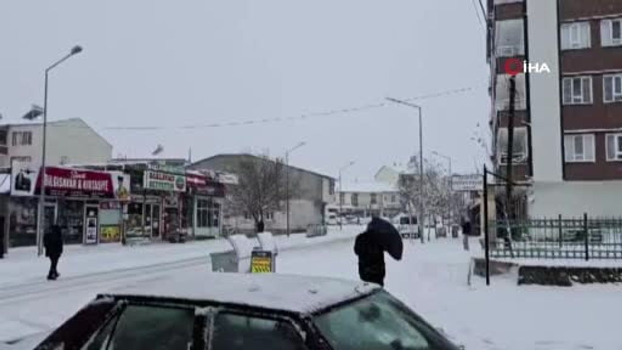 Sincik'te Kar Yağışı Beyaz Bir Manzara Oluşturdu