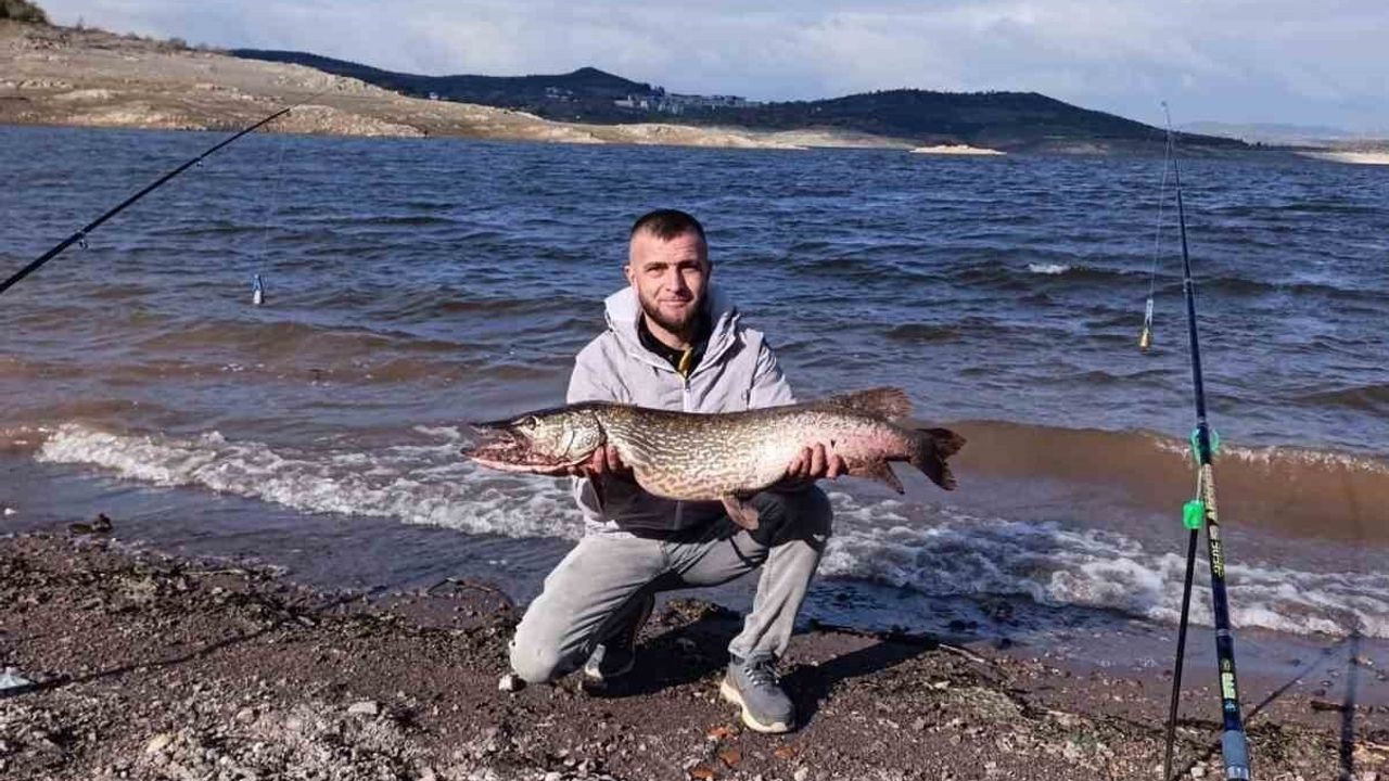 Sındırgı’da Dev Sazan Balığı ve Doğadan Karaca Misafiri