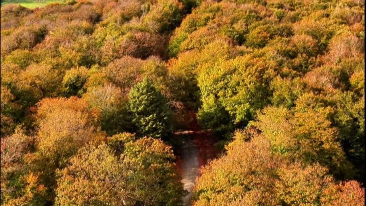 Sinop’ta Sonbaharın Büyüsü
