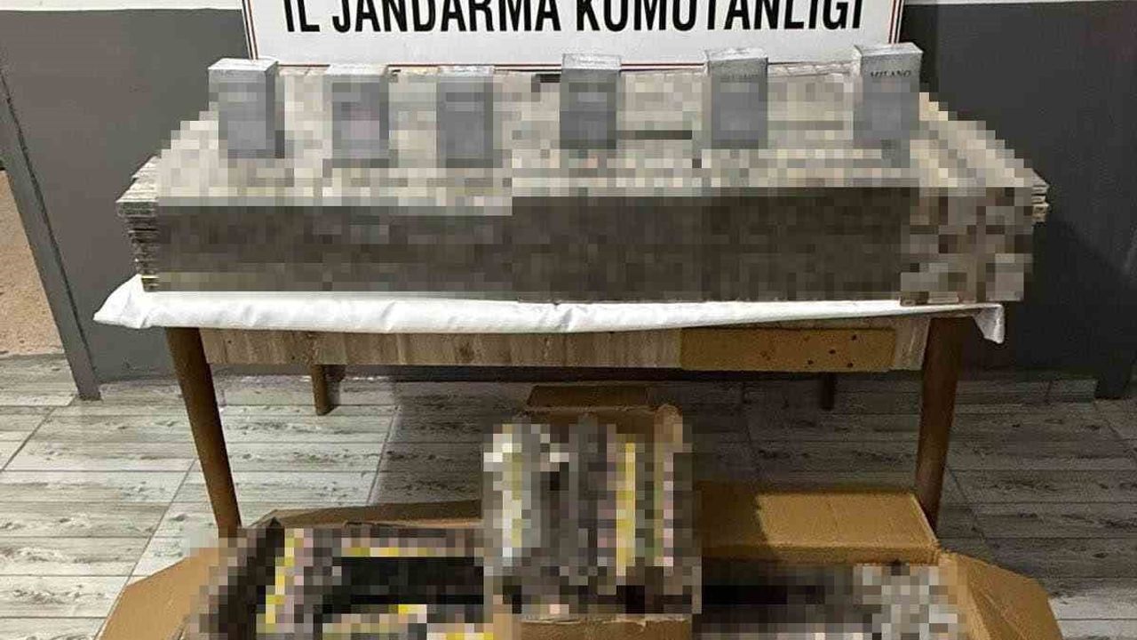 Şırnak'ta 34 Aranan Şahıs Yakalandı