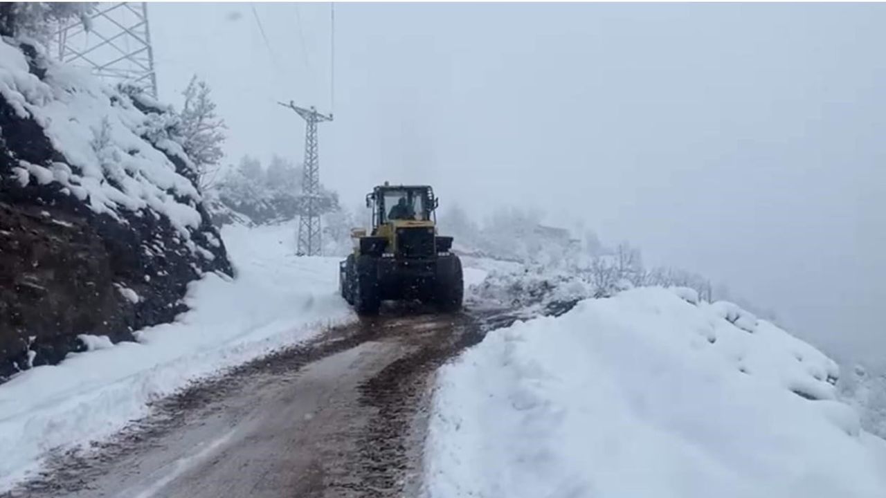 Şırnak'ta Yoğun Kar Yağışı Yol Kapattı