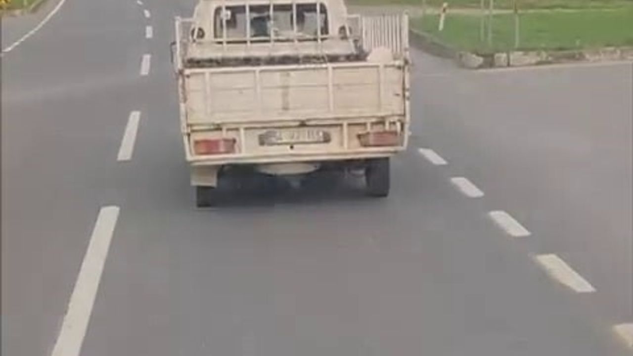 Soğuk Havada Üzücü Yolculuk