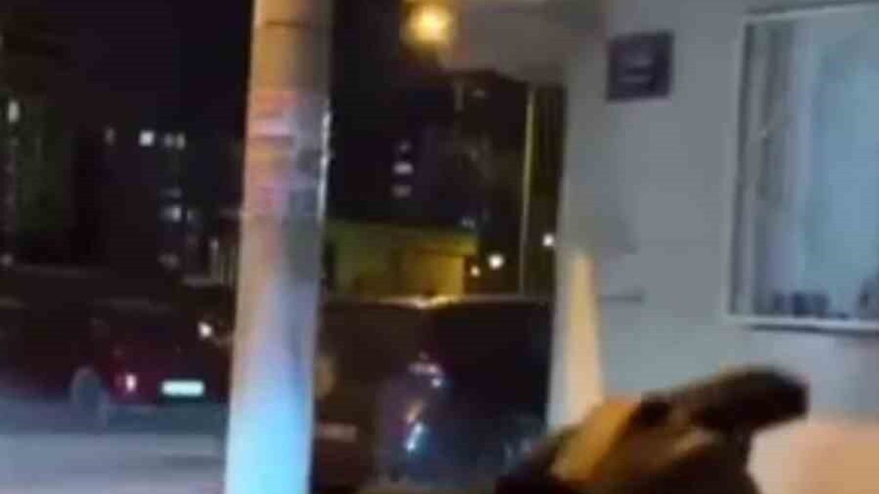 Sokakta Tabanca ile Ateş Açan Şahıs Yakalandı