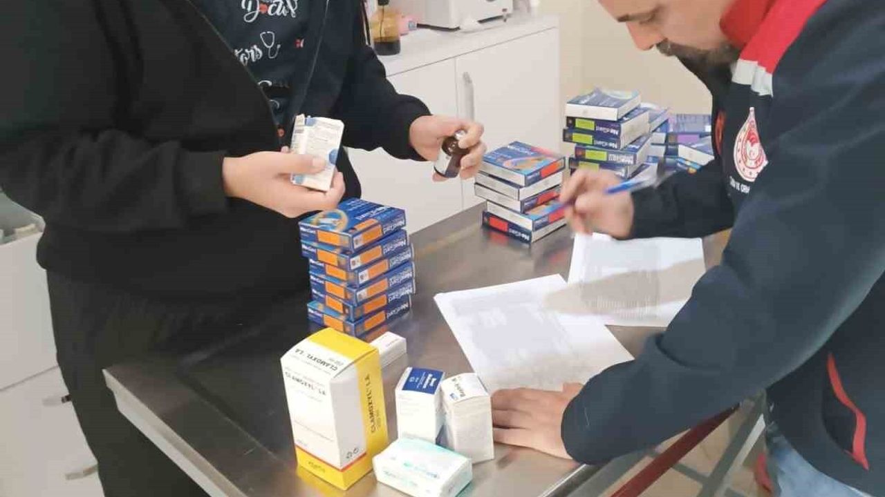 Söke’de Veteriner Kliniklerine Denetim Uygulandı