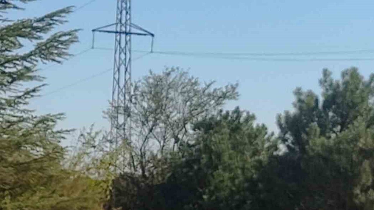 Spil Dağı'nda Kızıl Geyikler Yeniden Görüntülendi